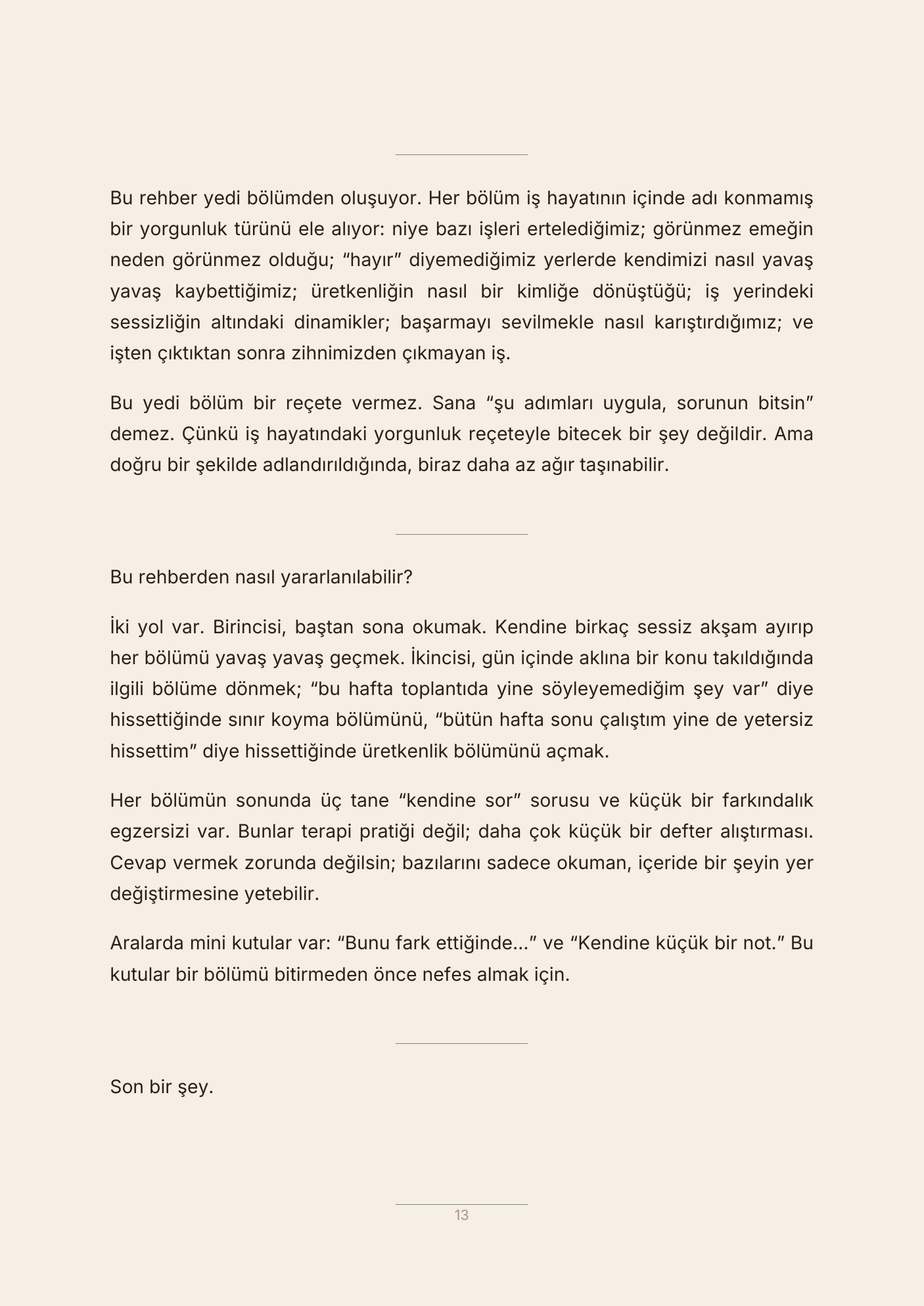 Sessizce Yorulanların El Kitabı — Sayfa 13